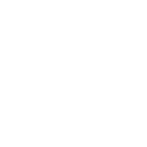 radial rolamentos